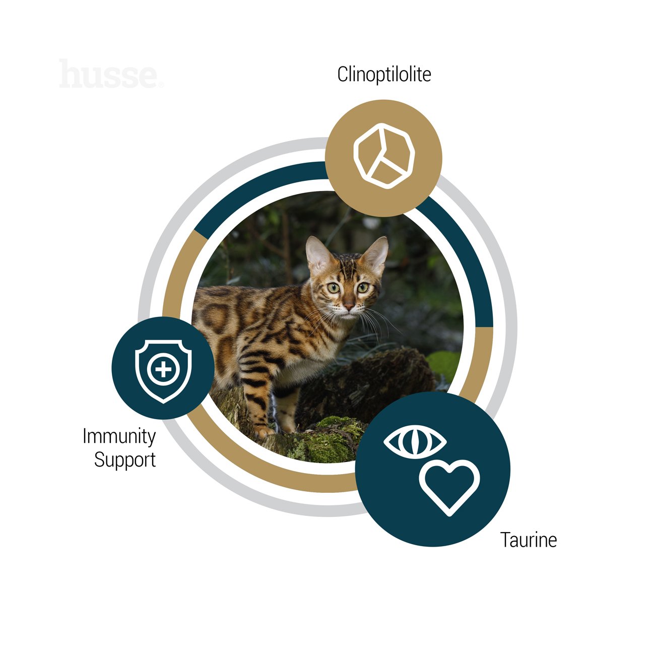 Lynx Senior, 7 kg | Grain free kibbles for senior cats with sensitive skin & stomachs
