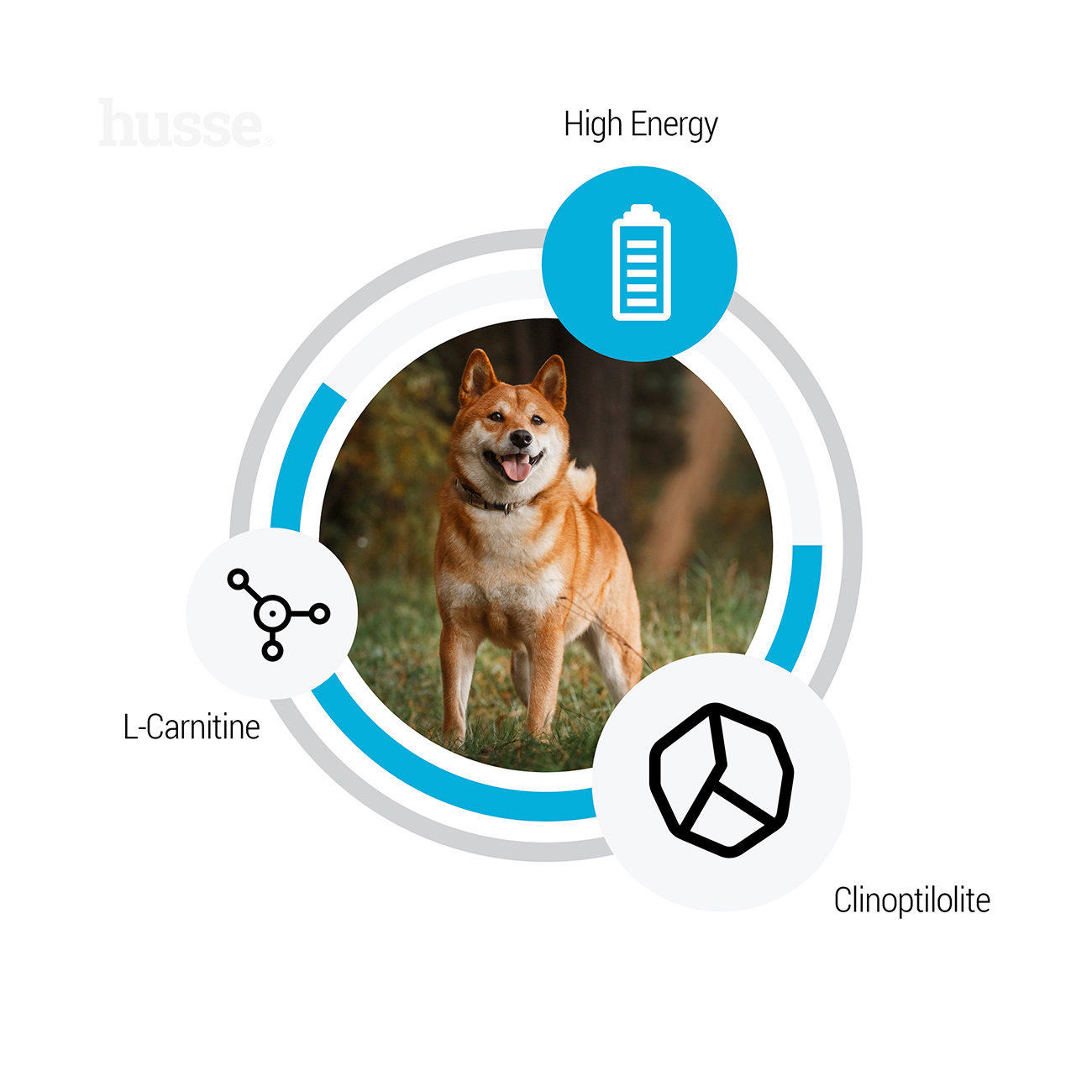 Sensitive Optimal, 12.5 kg | Gluten free dry food for dogs designed to meet increased energy needs