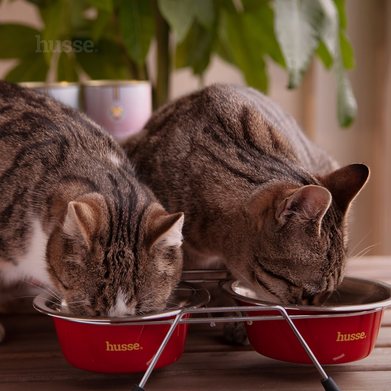 Double Diner, set | Elevated bowls for a more comfortable mealtime