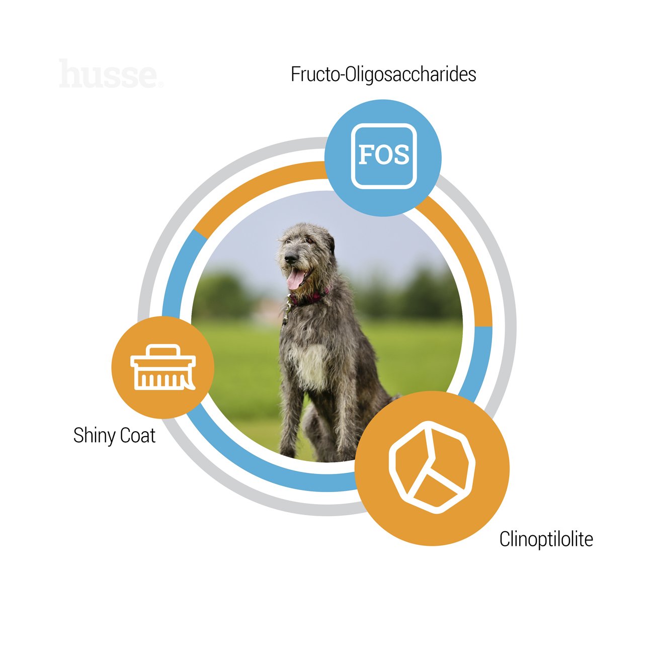 Optimal Giant, 12 kg | Balanced dry food for dogs of large breeds