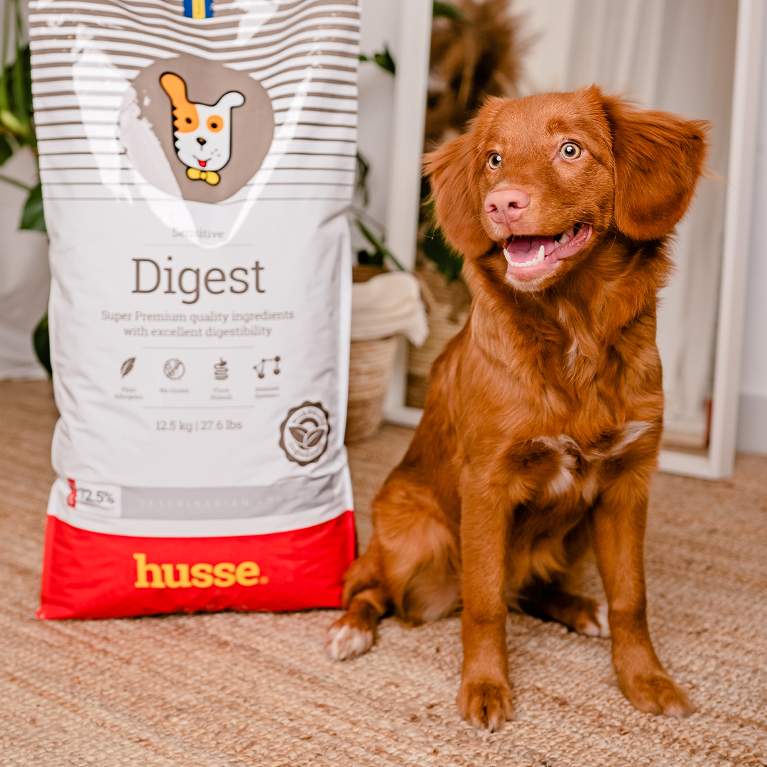 Sensitive Digest, 7 kg | Gluten free recipe with limited animal protein sources