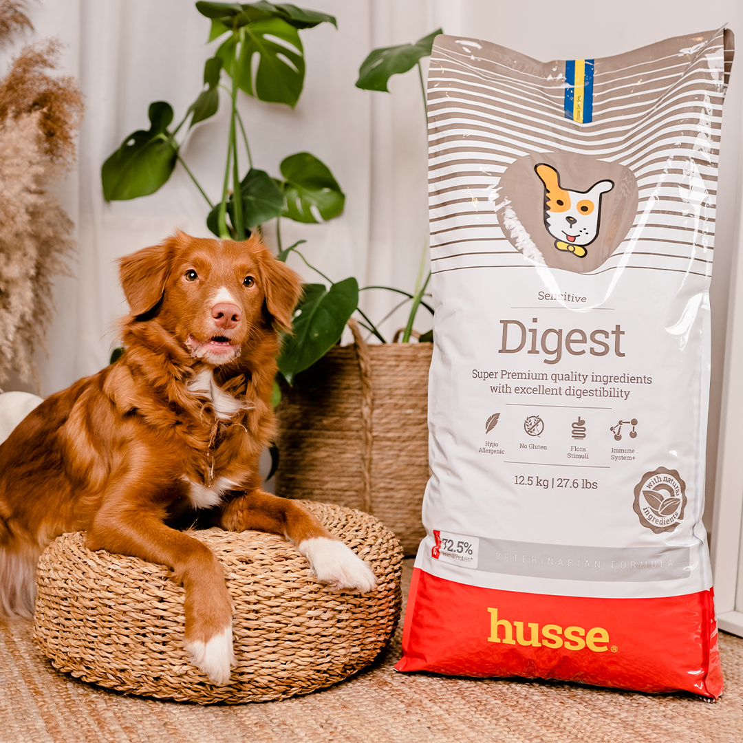 Sensitive Digest, 7 kg | Gluten free recipe with limited animal protein sources