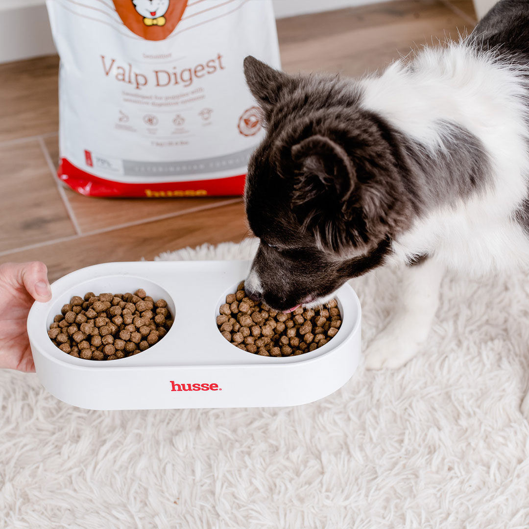 Sensitive Valp Digest, 7 kg | Dry food that supports the developmental needs of sensitive puppies