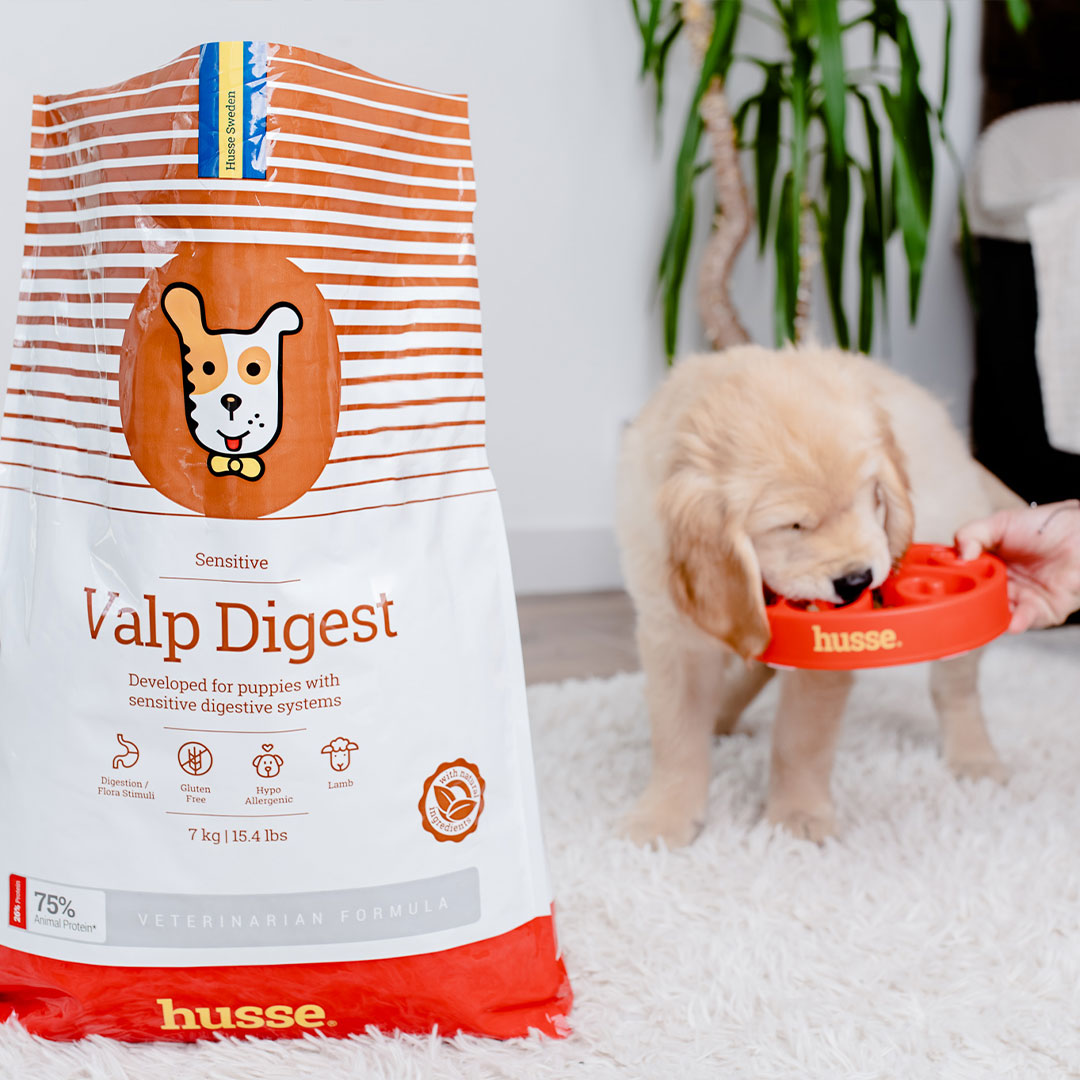 Sensitive Valp Digest, 7 kg | Dry food that supports the developmental needs of sensitive puppies