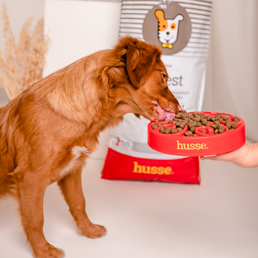 Sensitive Digest, 7 kg | Gluten free recipe with limited animal protein sources