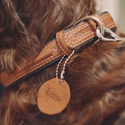 Stroll Collar, S | Adjustable dog collar
