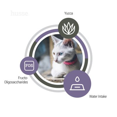 Exclusive Urinary, 7 kg | Complete cat nutrition that helps maintain urinary health