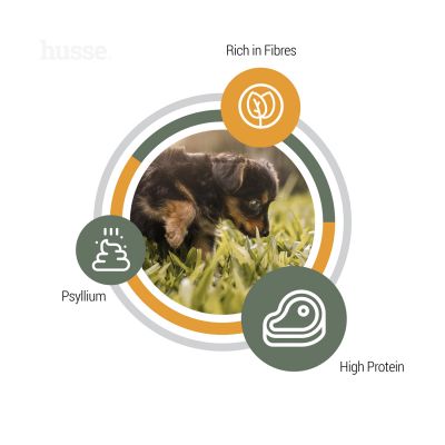 Valp Plus, 2 kg | Complete nutrition with psyllium & vegetable fibres for smooth digestion