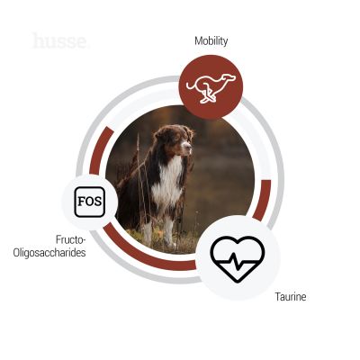 Sensitive Digest Giant, 12.5 kg | Gluten free recipe with limited animal protein sources