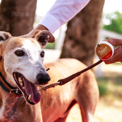 Tass Plus, 40 ml | Paw care product with beeswax