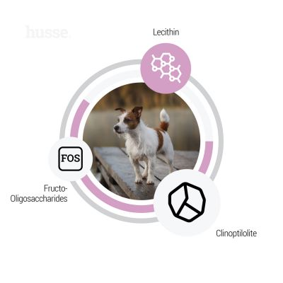 Sensitive Ocean Care Mini, 7 kg | Gluten free recipe with a single animal protein source