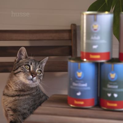 Adult, pack | 12 cans of tasty chunks with beef for cats