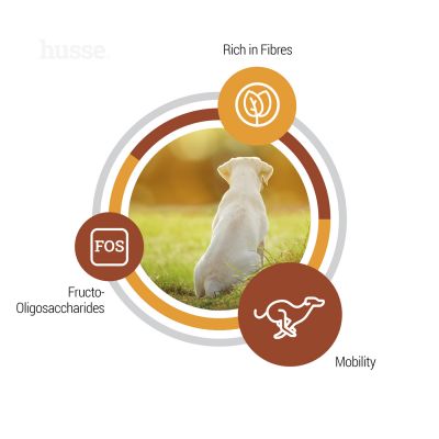 Valp Maxi, 12 kg | Supports the developmental needs of large breed puppies