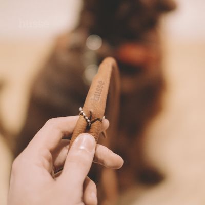 Stroll Leash, 1 pc | Durable & stylish leash for everyday use