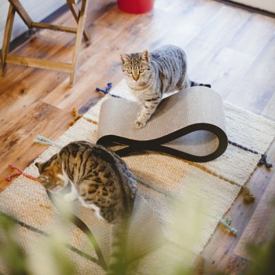 Knut, 1 pc | Scratching board to keep your cat healthy & active