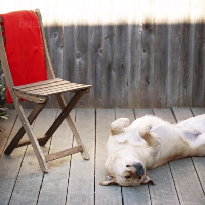 Blanket, XL | Soft blanket for a maximum plush & comfort