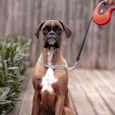 Rulle, 3 m | Leash with restractable system & one-handed braking