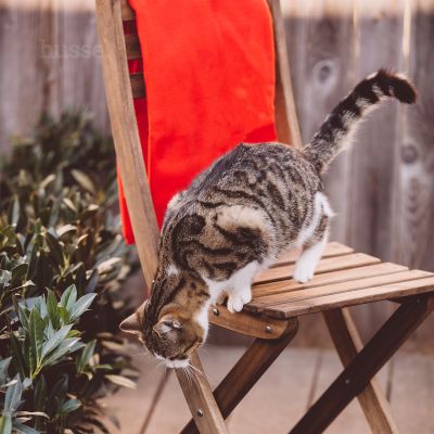 Blanket, XL | Soft blanket for a maximum plush & comfort