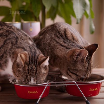 Double Diner, set | Elevated bowls for a more comfortable mealtime