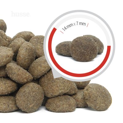 Pro Selekt, 20 kg | Wheat gluten free dry food