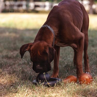 Kägel, L | Bowling pin-shaped rubber pet toy