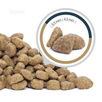 Lynx Senior, 7 kg | Grain free kibbles for senior cats with sensitive skin & stomachs