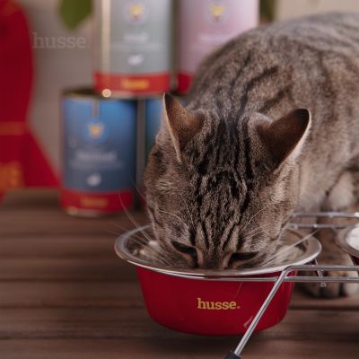 Adult, pack | 12 cans of tasty chunks with beef for cats