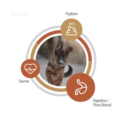 Valp Farm, 12 kg | Grain free kibbles with high animal protein content from limited sources