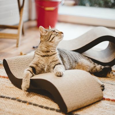 Krusa, 1 pc | Scratching board to keep your cat healthy & active