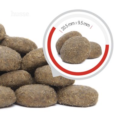 Pro Aktiv, 20 kg | Dog dry food that supports increased energy needs