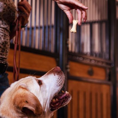 Kex L, 400 g | Bone-shaped biscuits for dogs