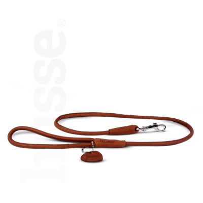 Stroll Leash, 1 pc | Durable & stylish leash for everyday use