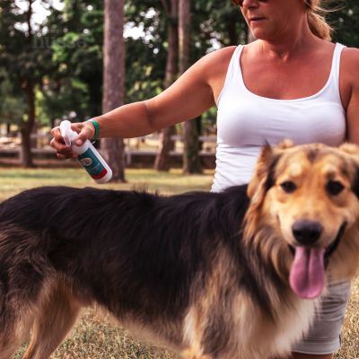 Pälsvårdsspray, 200 ml | Detangler spray for easier grooming