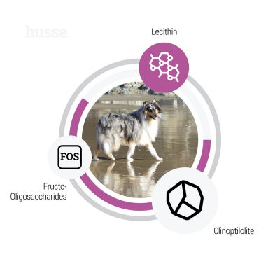 Sensitive Ocean Care, 2 x 12.5 kg | Gluten free recipe with a single animal protein source