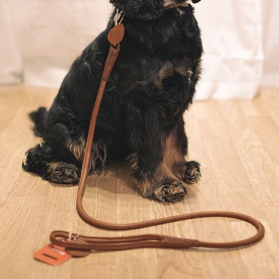 Stroll Leash, 1 pc | Durable & stylish leash for everyday use